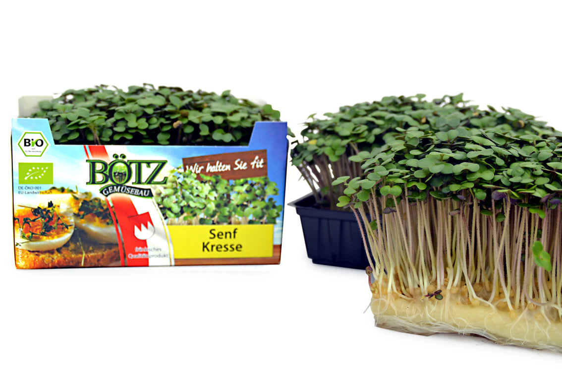 BIO Mix-Kresse