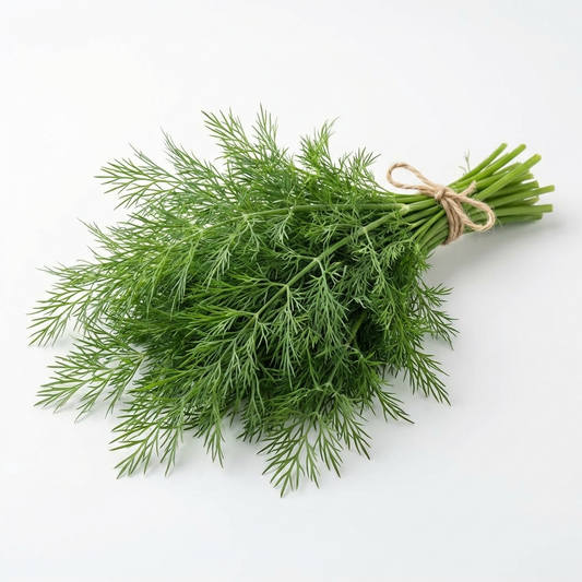 Dill