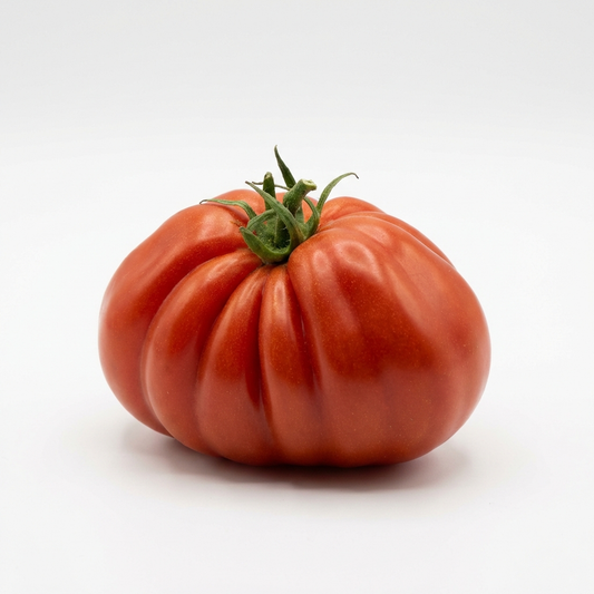 Ochsenherztomate