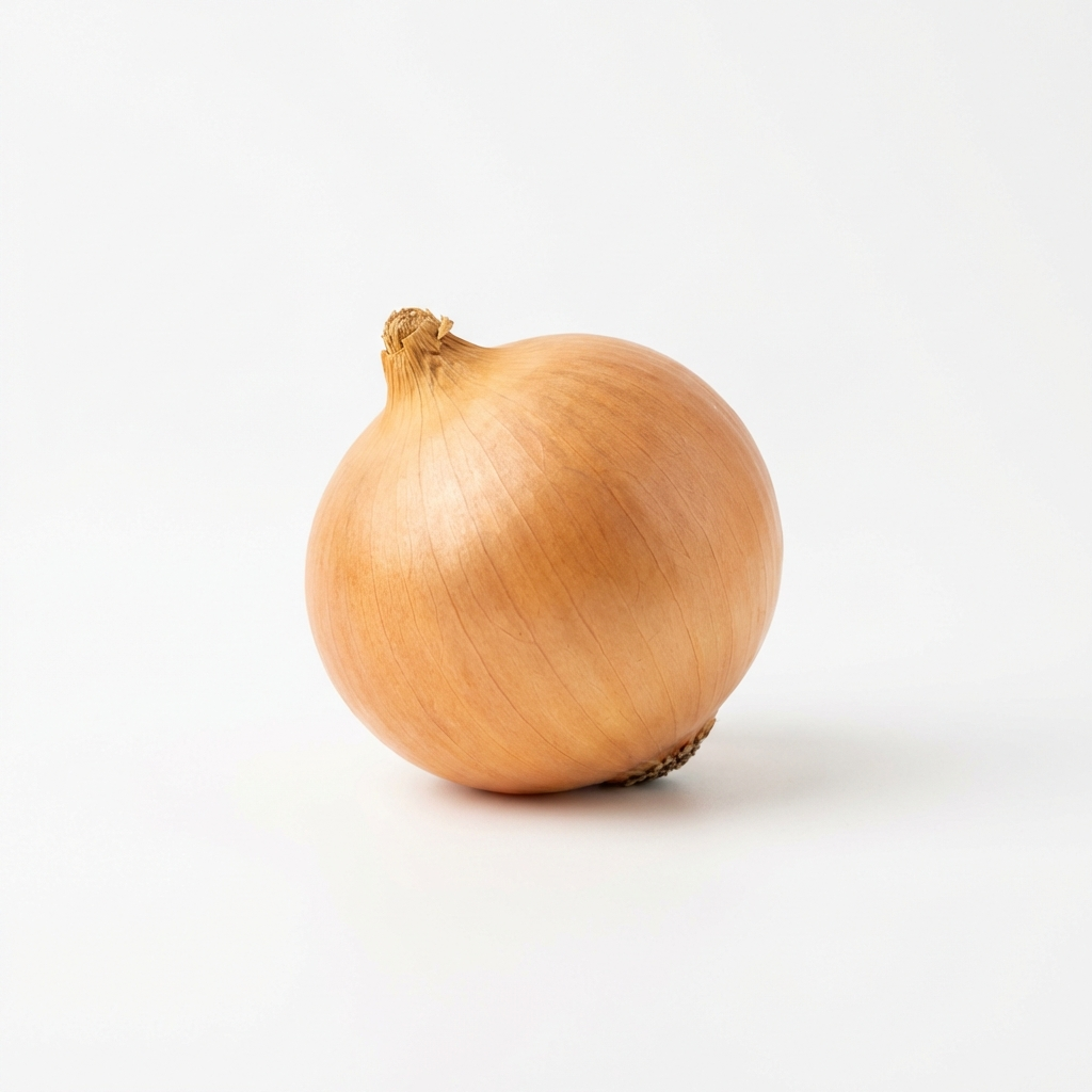 Zwiebel