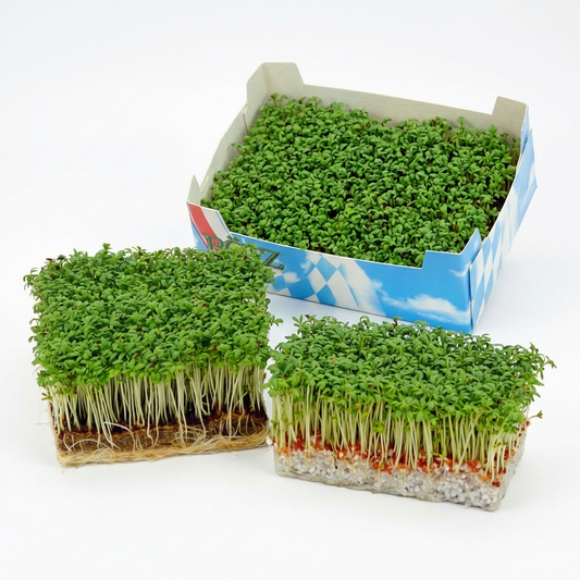 BIO Kresse