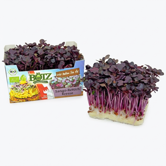 BIO Mix-Kresse