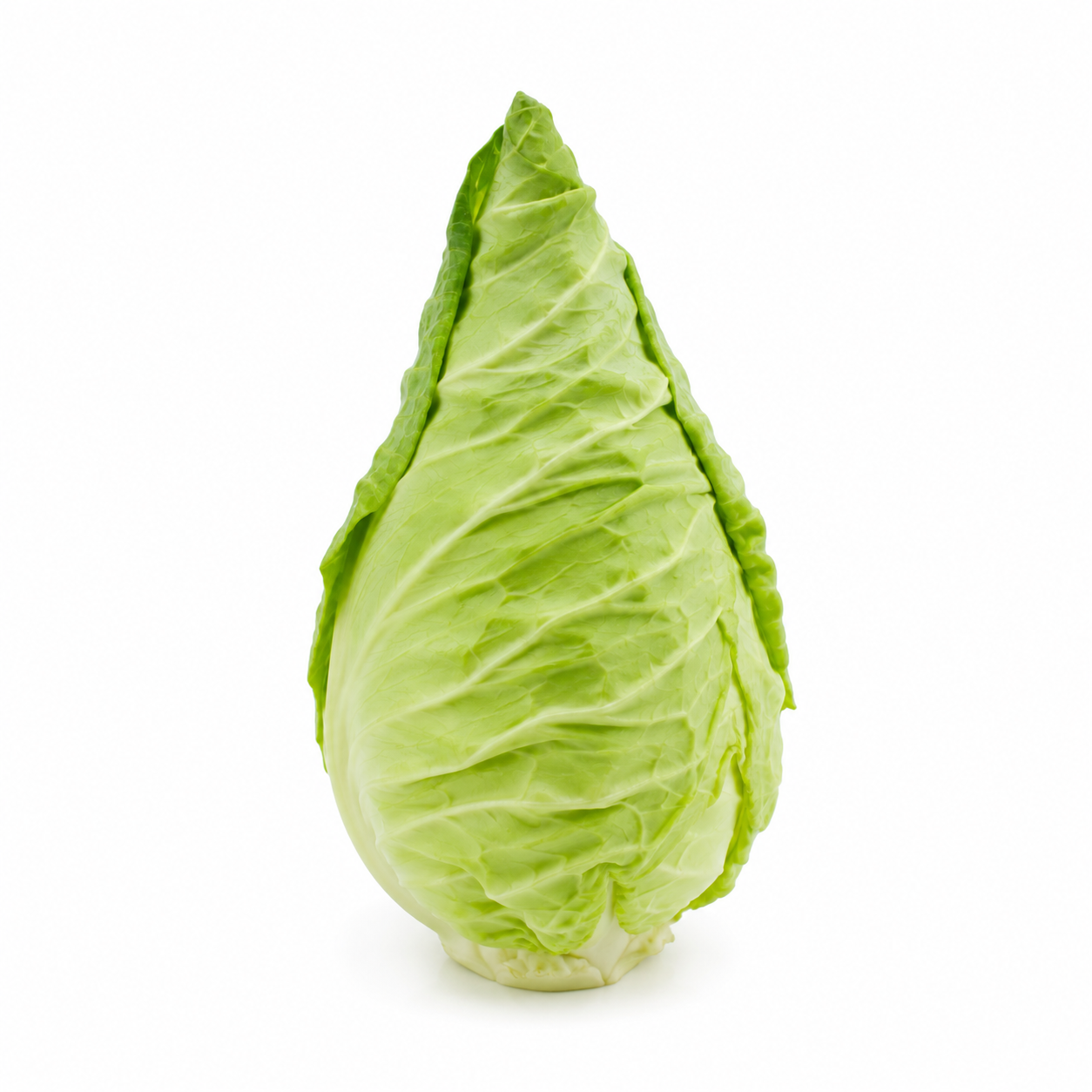 Spitzkohl