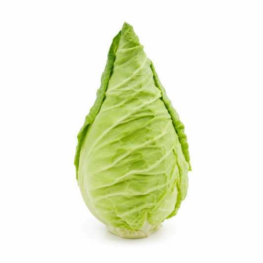 Spitzkohl